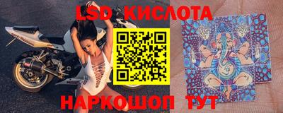 a pvp Гусев