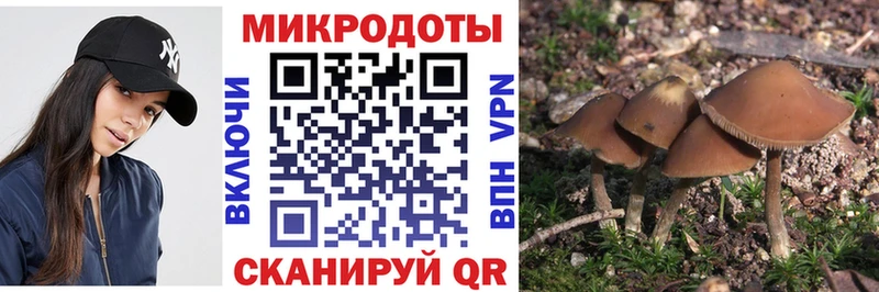 как найти закладки  Михайловск  дарк нет наркотические препараты  Псилоцибиновые грибы мухоморы 
