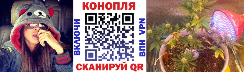 наркотики  Михайловск  Канабис марихуана 